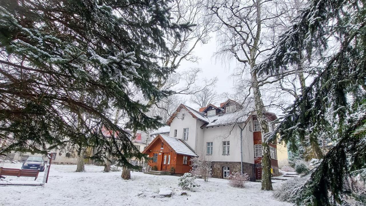 Brzozowy Gaj - Pensjonat Karpacz Exterior foto