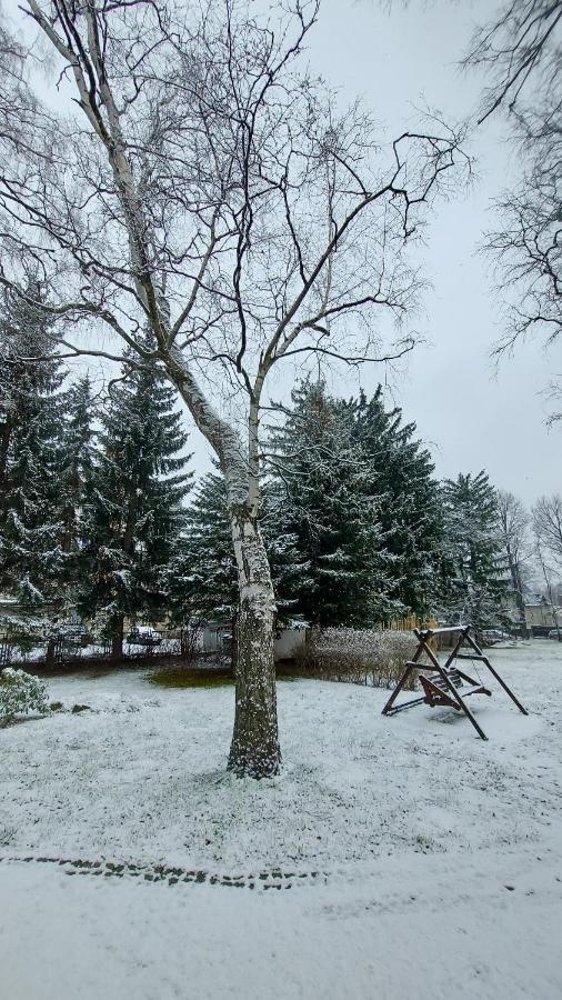 Brzozowy Gaj - Pensjonat Karpacz Exterior foto